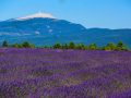 séjour à vélo en Provence week-end vélo dans le Lubéron et tour du ventoux avec nature bike provence